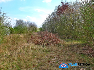 Zastávka a nákladiště Staré Místo u Jičína